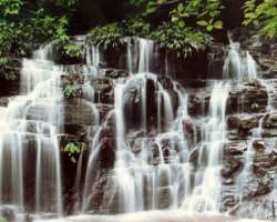 The existence of a 25-meter high Tendal waterfall, Tumarado swamps, and the 100 meters high Tilupo waterfall adds to its beauty and makes the park a n